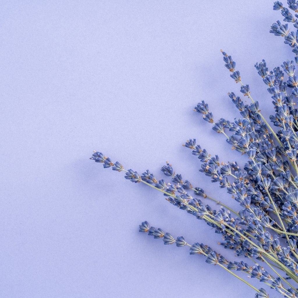 Calming Essential oil blends for stress and anxiety relief