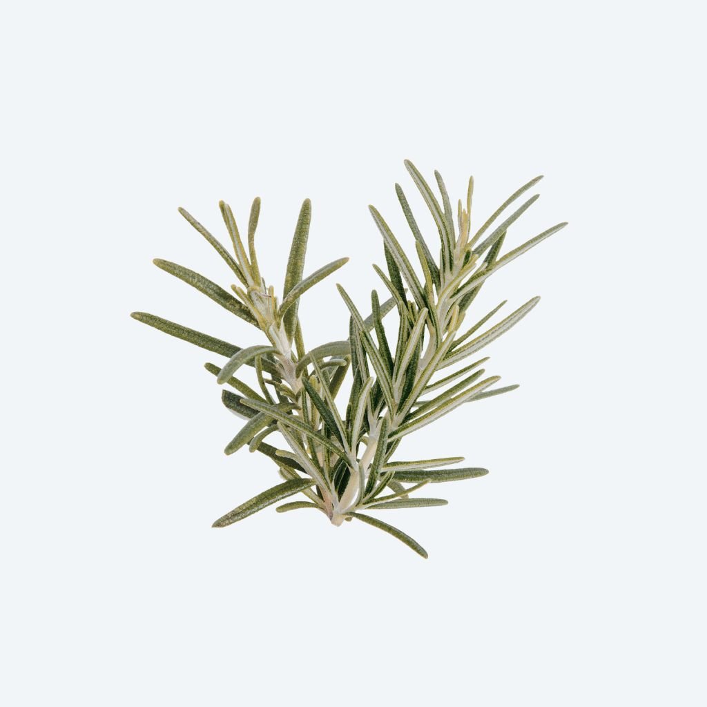rosemary leaves
