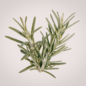 Rosemary