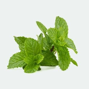 Cooling peppermint leaves for headache relief